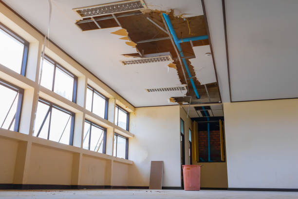 Best Sewage cleanup and water damage restoration  in Boise, ID
