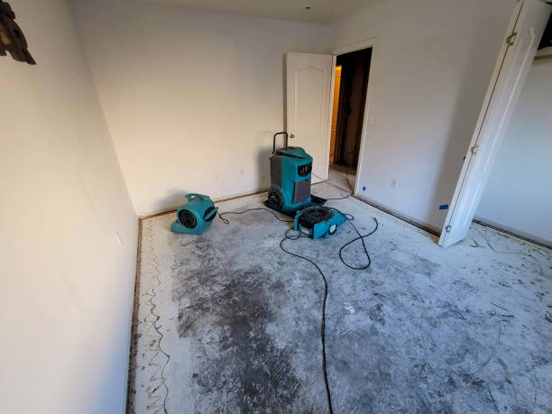 Best Mold removal after water damage  in Boise, ID