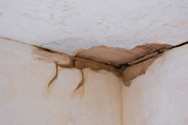, ID Water damage restoration Company