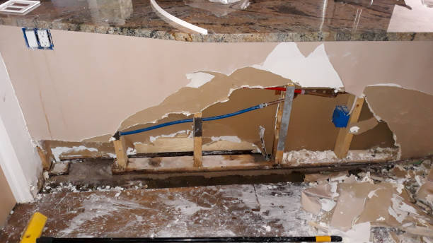 Best Local water damage restoration  in Boise, ID