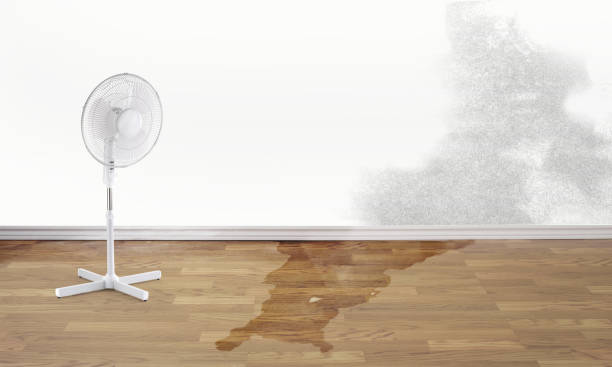 Best Emergency water damage restoration  in Boise, ID