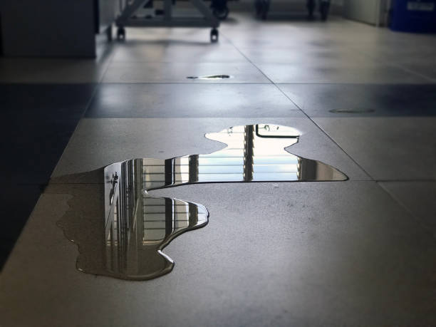 Water damage restoration insurance claims in ID