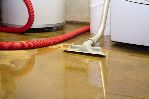 Best Flood restoration services  in Boise, ID