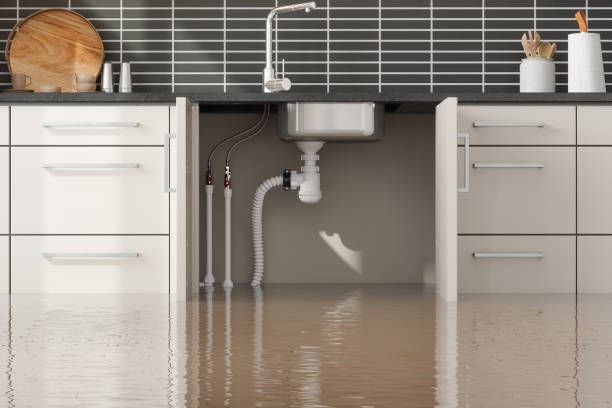 Best Carpet water damage restoration  in Boise, ID