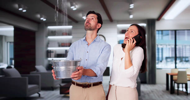 Carpet water damage restoration in ID