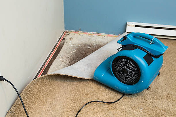 Best Basement water damage restoration  in Boise, ID